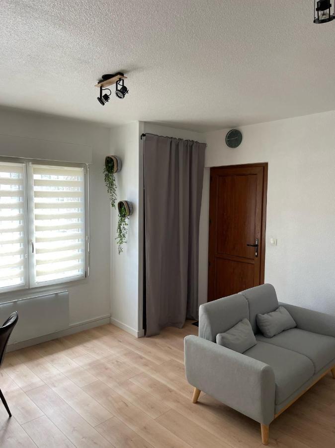 Appart Avec Chambre Lumineux Et Chaleureux Le Boulou Ngoại thất bức ảnh